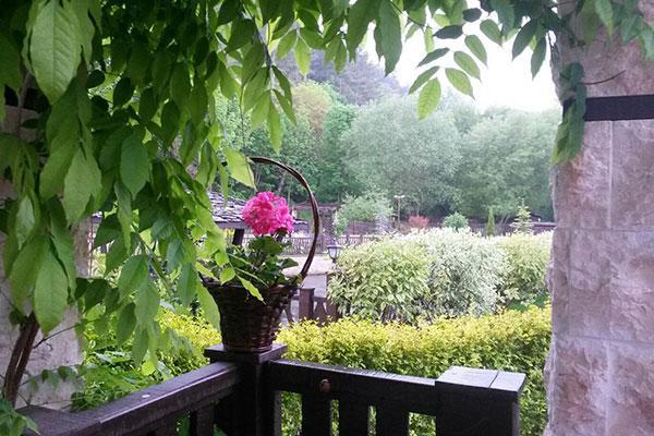 Guest House Pekliuk Gulubovtsi エクステリア 写真